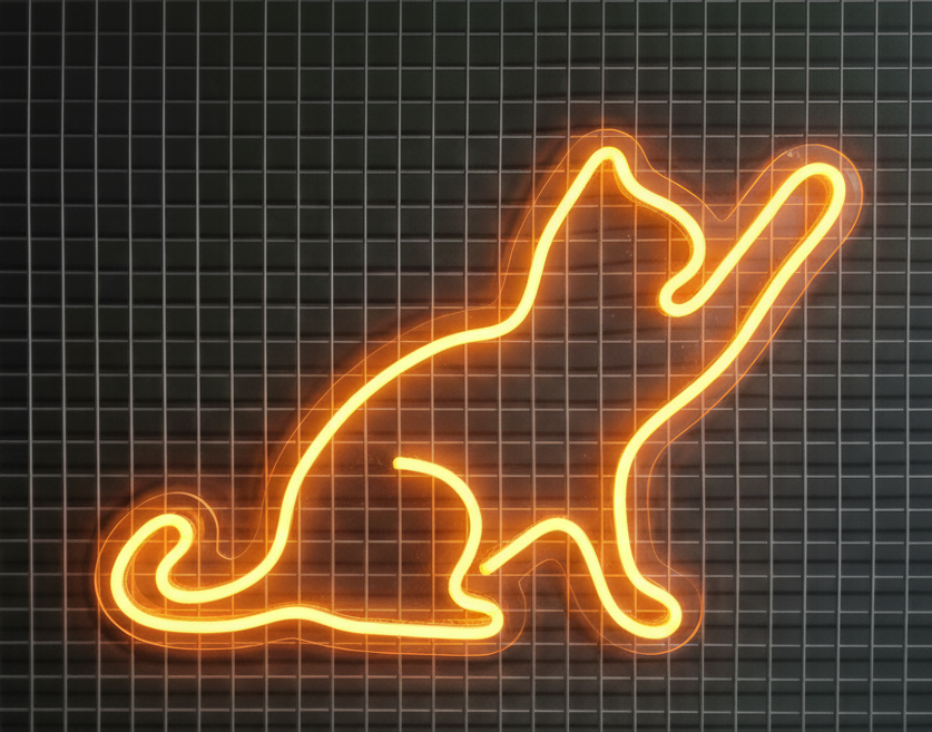 Kedi Led Neon