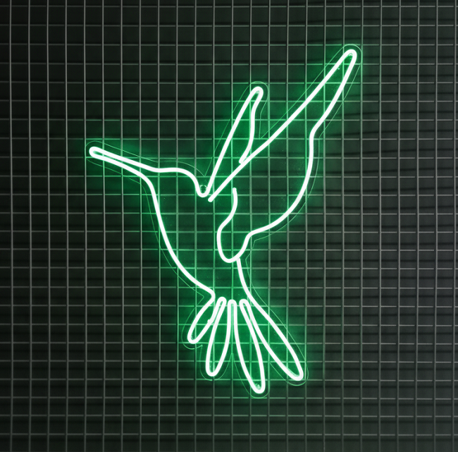 Kuş Led Neon